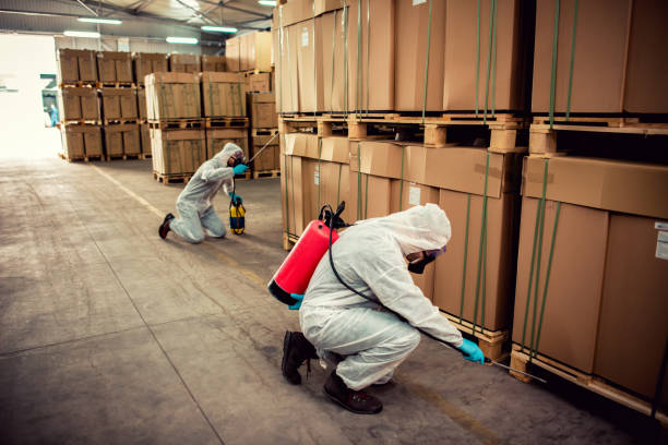 Best Commercial Pest Control Services  in Bigfork, MT