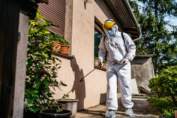 Best Wasp Removal Services  in Bigfork, MT
